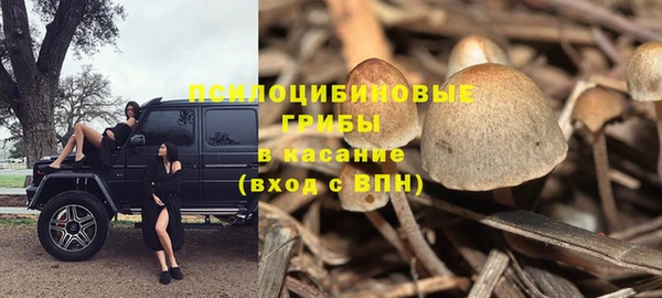 МДМА Новодвинск