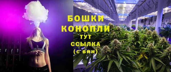 спайс Нягань