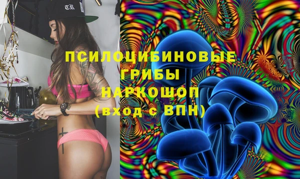 МДМА Новодвинск