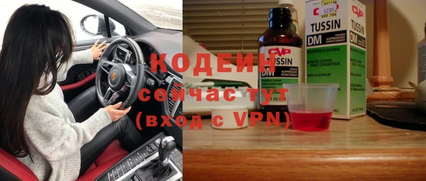 индика Снежногорск
