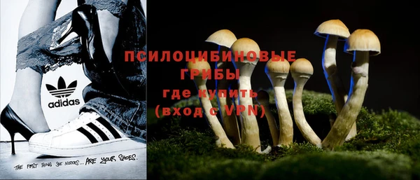 амф Новозыбков